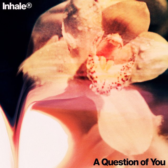 Inhaler buscan la respuesta del amor en su nuevo sencillo “A Question of You”