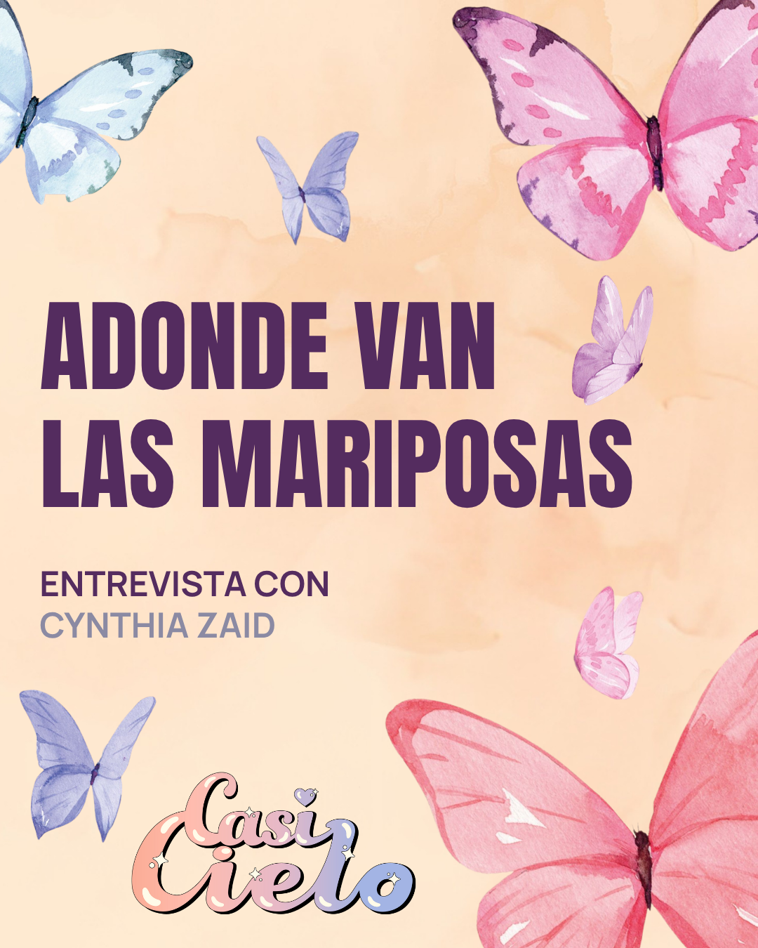 Adonde van las mariposas: Entrevista con Cynthia Zaid